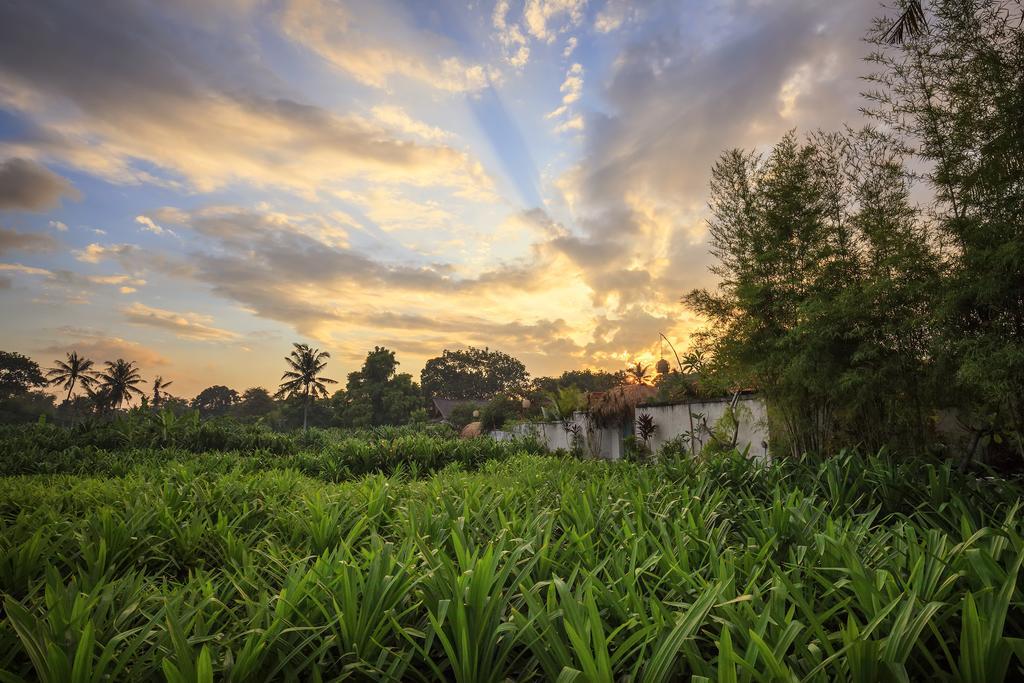 The Pandan Tree Villas Canggu Екстериор снимка