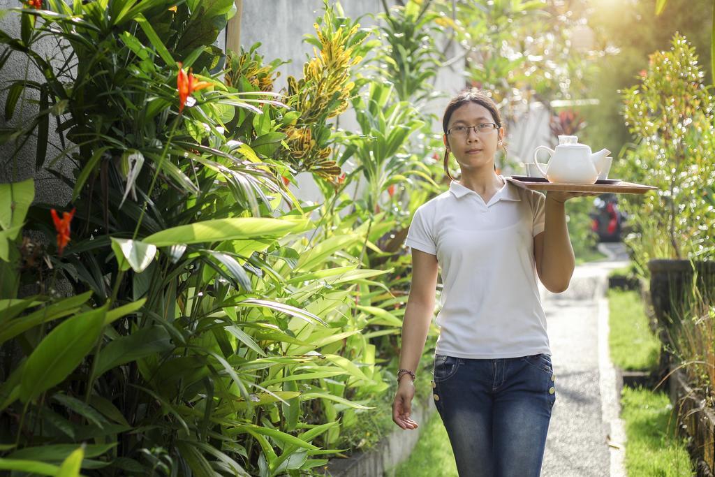 The Pandan Tree Villas Canggu Екстериор снимка
