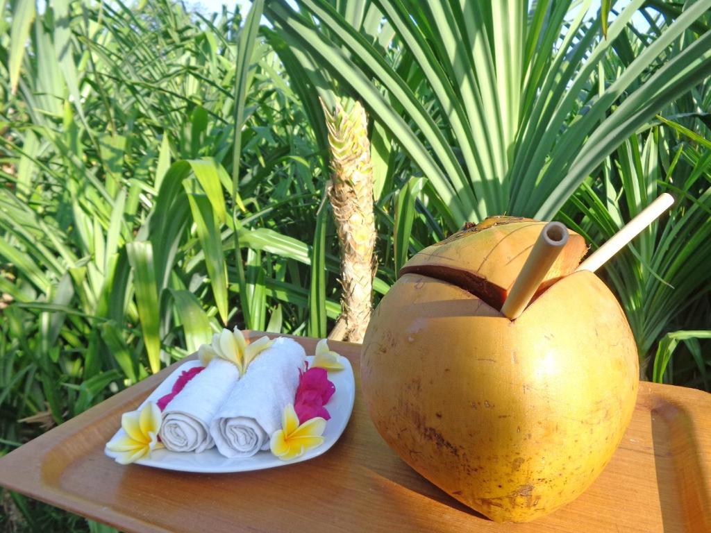 The Pandan Tree Villas Canggu Екстериор снимка
